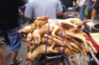 ֹڲ˿ڰ 1 