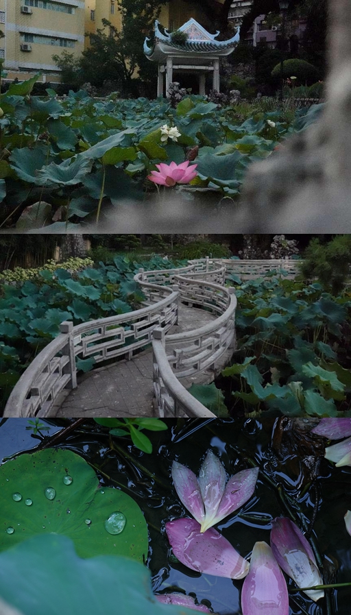 ¬԰K8ҳ Ƽ 